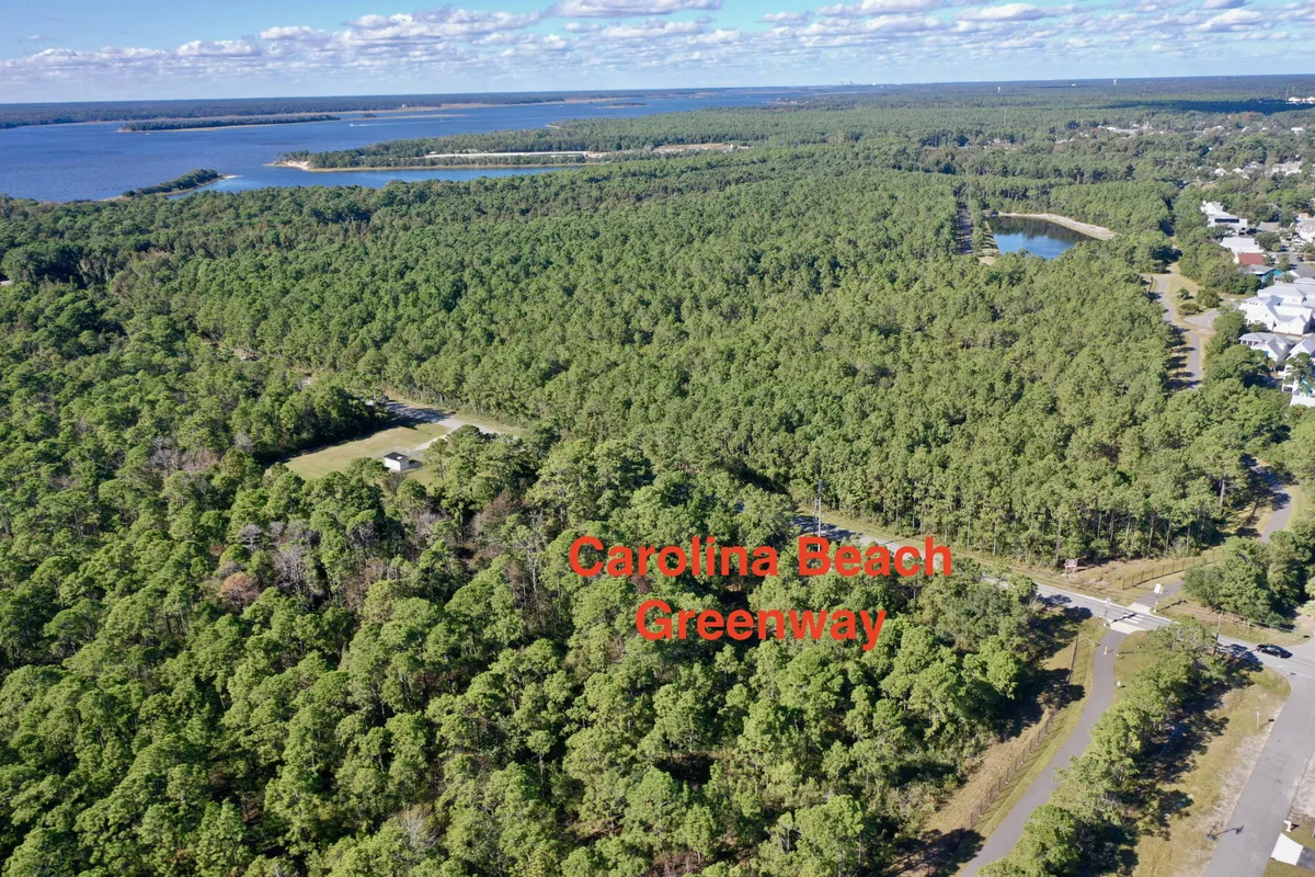 This image captures a serene scene with dense greenery, a water body, a roadway, and houses in the distance. The lush landscape is inviting for outdoor activities such as hiking, biking, and nature walks, and it evokes a sense of peaceful exploration.