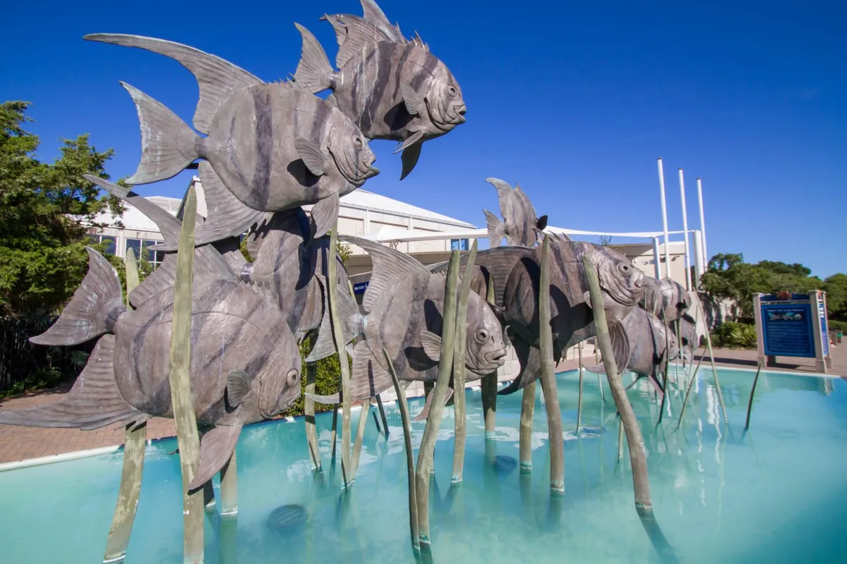 Exterior shot of large, whimsical fish sculptures set amidst a water feature and green vegetation—an iconic and playful landmark just minutes from the retreat. The setting hints at nearby attractions like the NC Aquarium and family-friendly exploration.